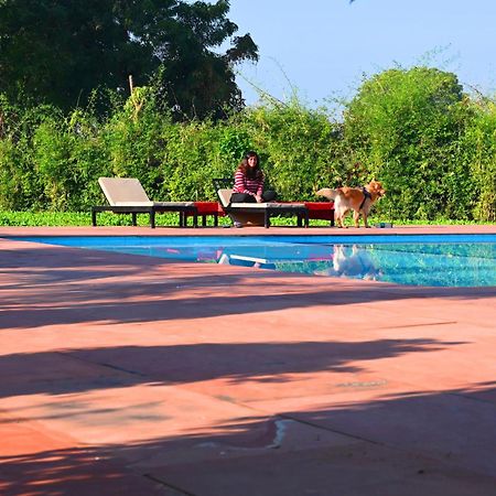 Hotel Motibagh Sawai Madhopur Esterno foto
